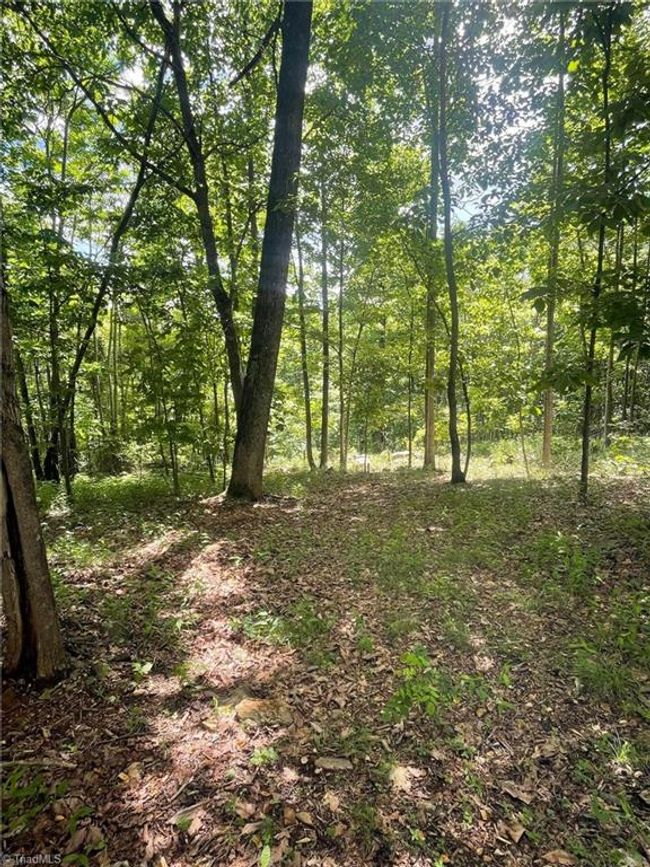 15 Dogwood Rd, Home with 0 bedrooms, 0 bathrooms and null parking in Moravian Falls NC | Image 15