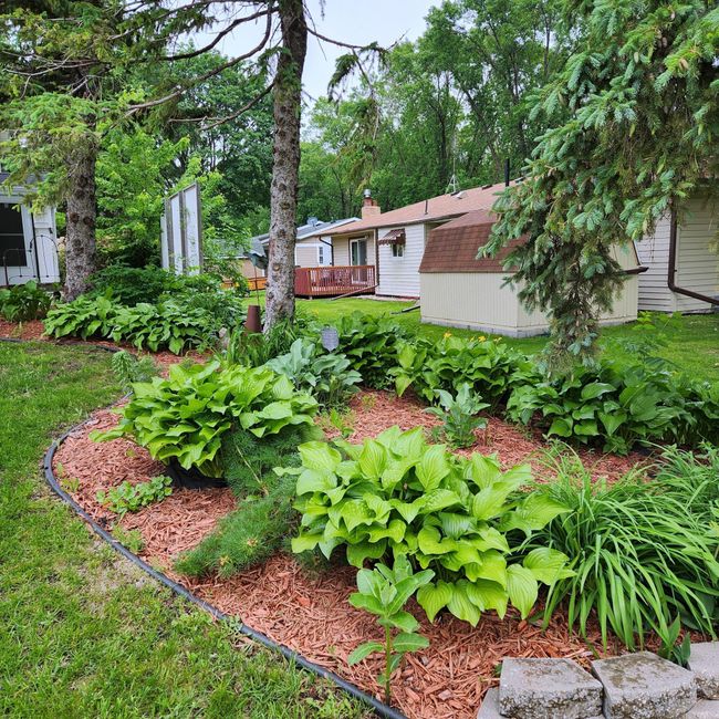 Front Landscaping.jpg | Image 35