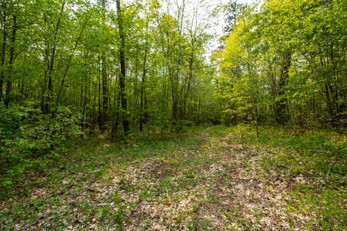 Xxxxx Co Hwy 47, Green Valley Twp, MN, 56570 | Card Image