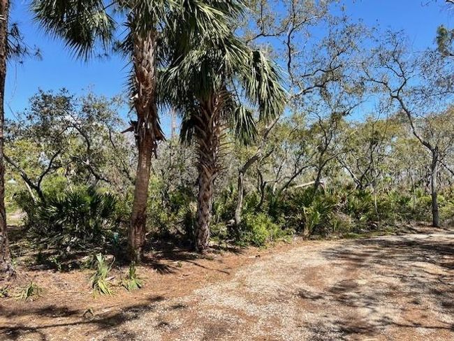 12190 Anchor Cove Dr, Home with 0 bedrooms, 0 bathrooms and null parking in Cedar Key FL | Image 4
