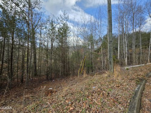 Lot 128 Bear Valley, Sevierville, TN, 37876 | Card Image