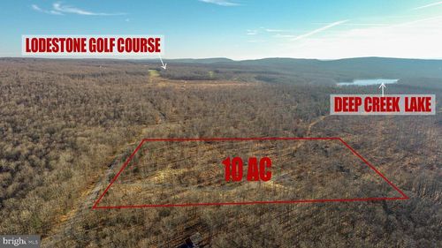 10 Shingle Camp Road, MC HENRY, MD, 21541 | Card Image