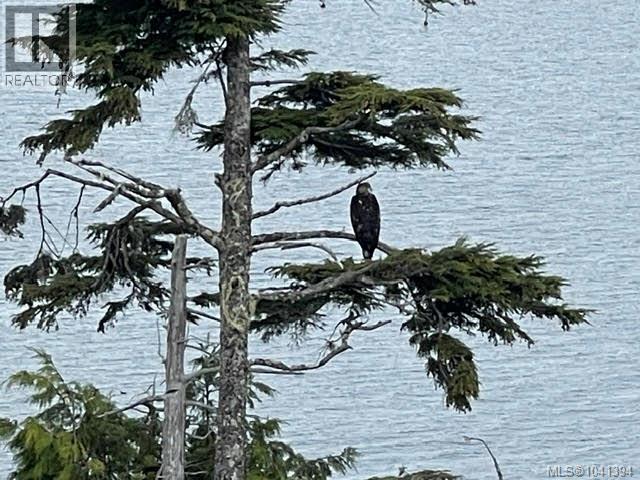 Land in Telegraph Cove 4