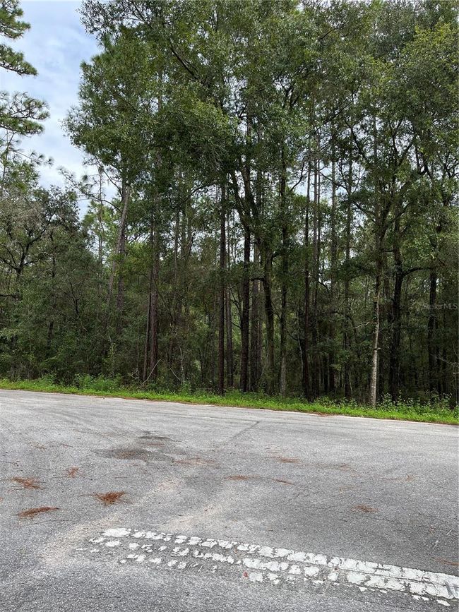 00 Sw 50th Place, Home with 0 bedrooms, 0 bathrooms and null parking in Dunnellon FL | Image 4