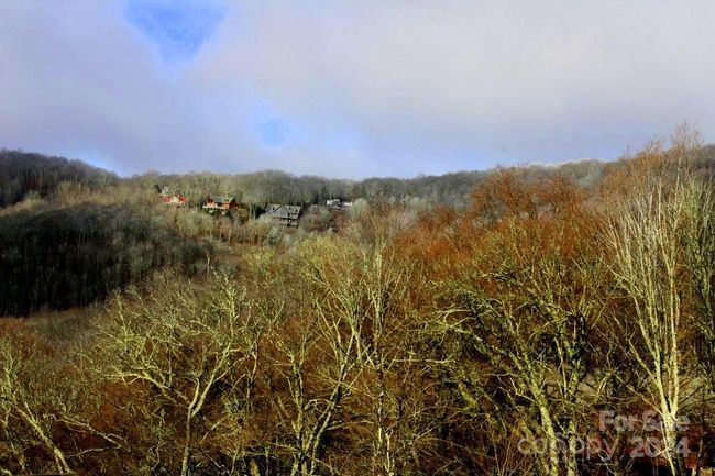 Alternate View from Grouse Thicket Road Bed | Image 4