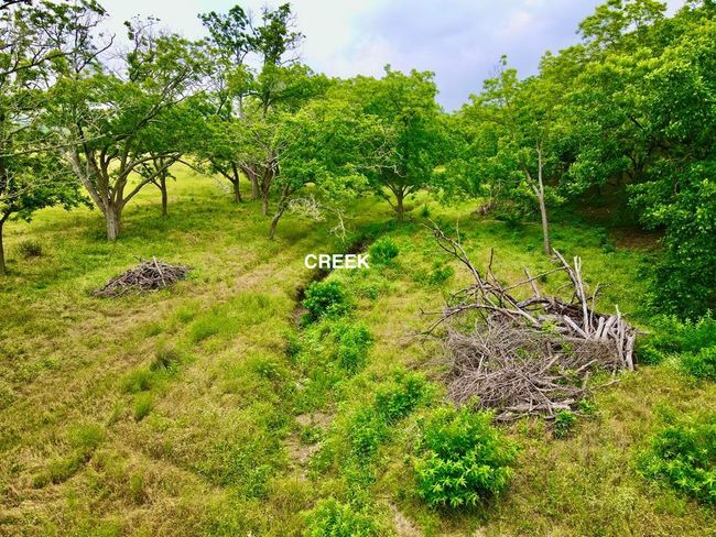 2132 Schumann Rd, Home with 0 bedrooms, 0 bathrooms and null parking in Stonewall TX | Image 11