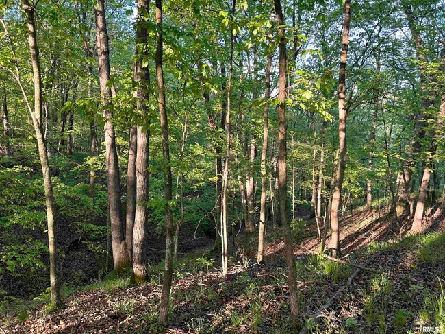 0 N Chambers Rd, Home with 0 bedrooms, 0 bathrooms and null parking in Smithfield IL | Image 18