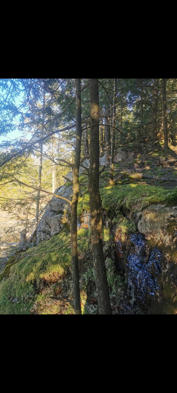 Land in Grenville-sur-la-Rouge 5