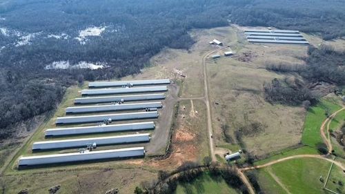 834 County Road 1548, Center, TX, 75935-5705 | Card Image