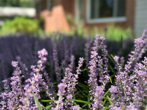 3020 Spencer Heights Dr, Lenoir, NC, 28645-8646 | Card Image