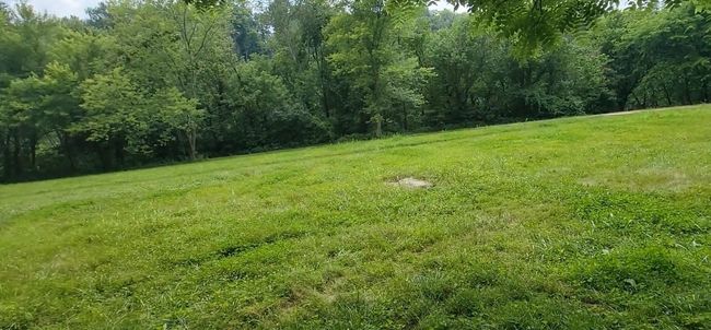 A septic tank and field lines are located on the property but are currently not attached to any structure. | Image 16