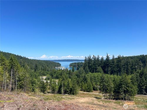 3 XXXX Mount Jupiter Rd, Brinnon, WA, 98320 | Card Image