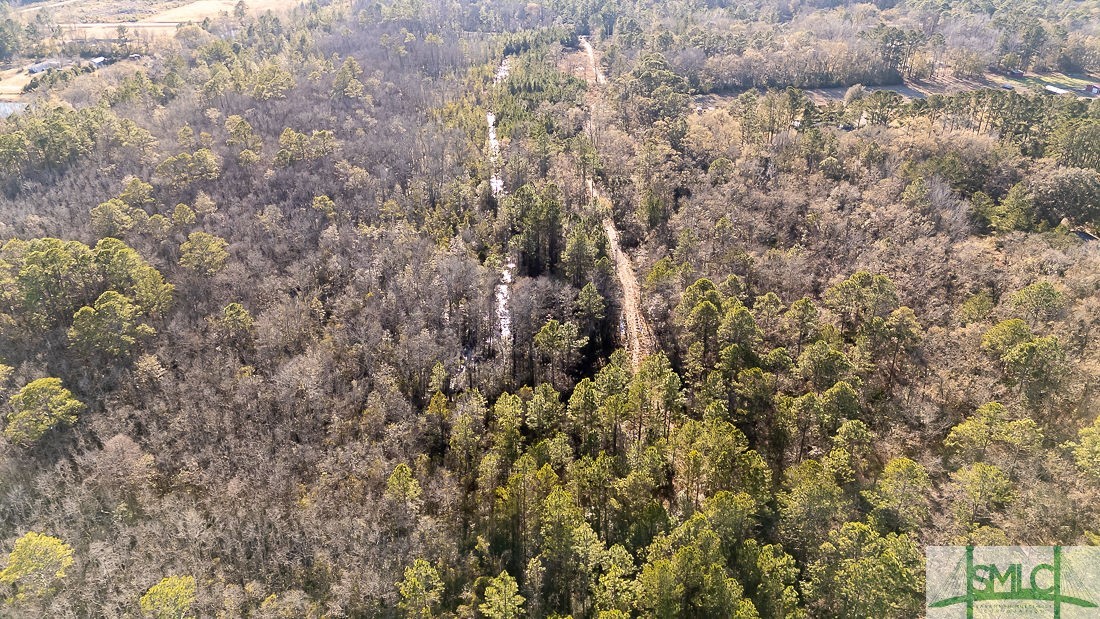 Land in Guyton 3