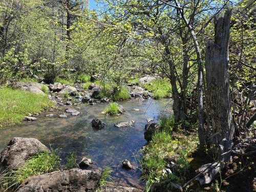 000 Pitville Rd, Mcarthur, CA, 96056 | Card Image