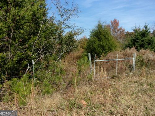 0 River Rd, Carlton, GA, 30627 | Card Image