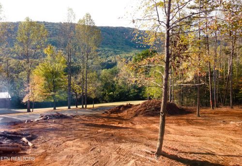 Lot 4 Peachie Way, Cosby, TN, 37722 | Card Image