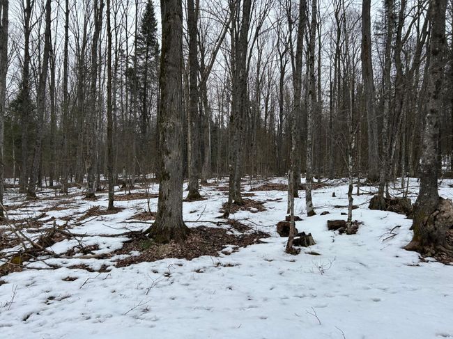 743 Woodlawn Rd, House other with 2 bedrooms, 1 bathrooms and null parking in Pickerel WI | Image 50