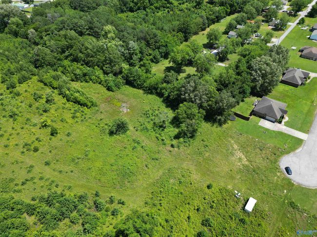 14 Acres Beaver Creek Rd, Home with 0 bedrooms, 0 bathrooms and null parking in Laceys Spring AL | Image 16