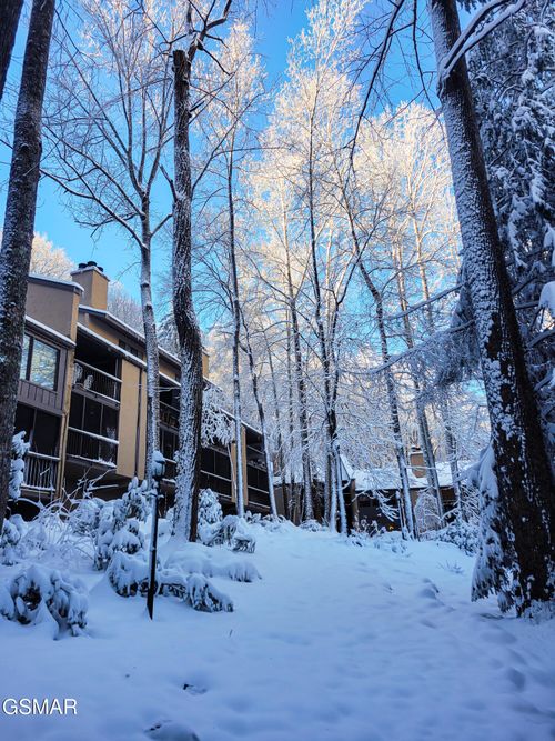 610-1235 Ski Mountain Rd, Gatlinburg, TN, 37738-3856 | Card Image
