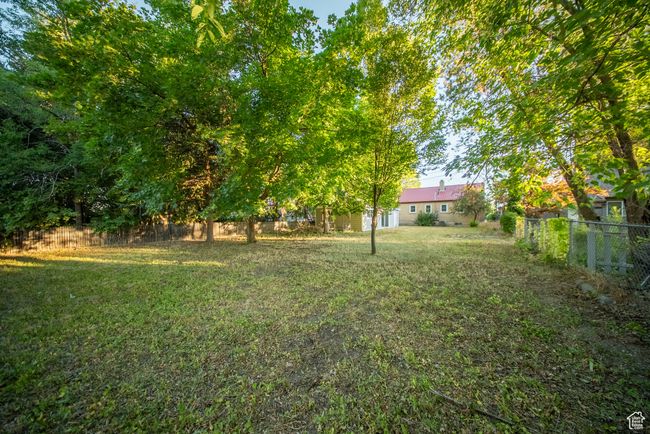 View of yard | Image 7