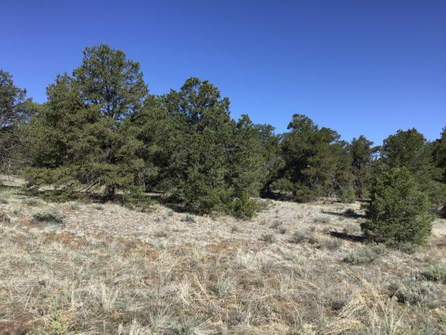 Lot 7 Red Fox Road, Home with 0 bedrooms, 0 bathrooms and null parking in Ramah NM | Image 38