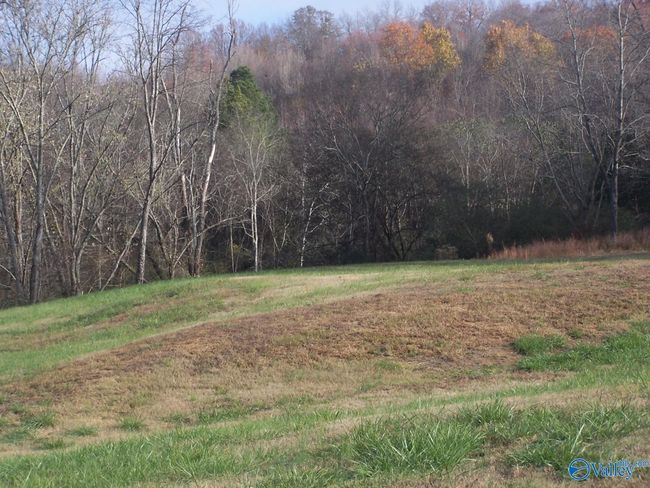 2176 Columbia Hwy, Home with 0 bedrooms, 0 bathrooms and null parking in Pulaski TN | Image 4
