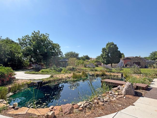 backyard | Image 43