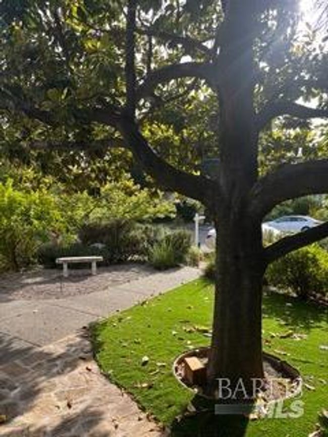 1314 Grand Ave, House other with 3 bedrooms, 2 bathrooms and 4 parking in San Rafael CA | Image 4