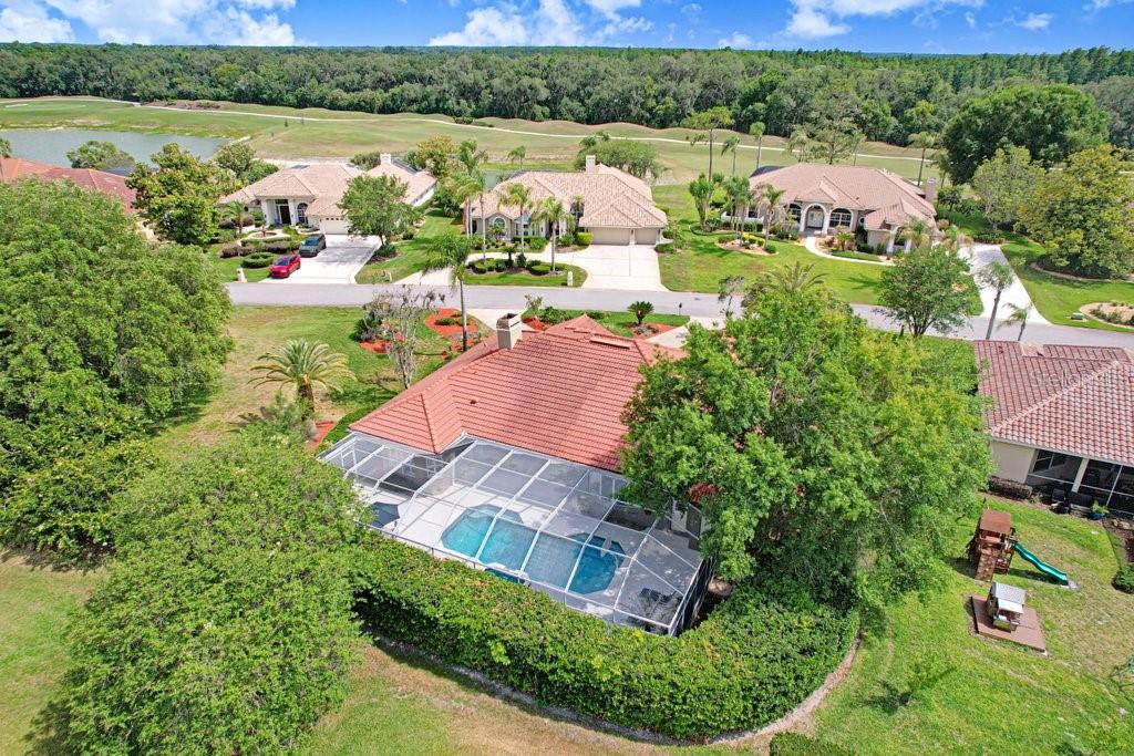 Residential in WESLEY CHAPEL 4