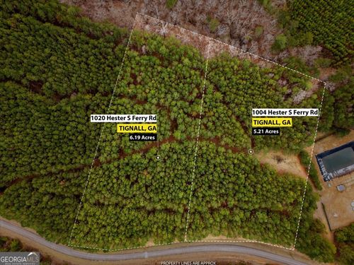 1004 Hesters Ferry Rd, Tignall, GA, 30668-2650 | Card Image