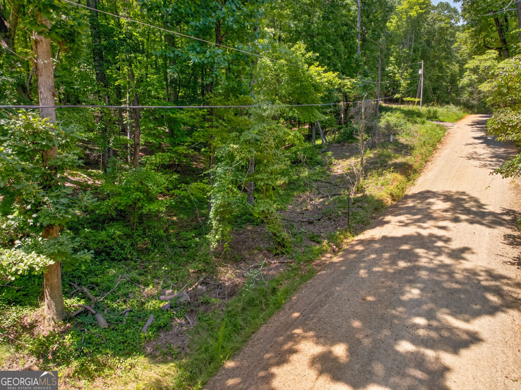 Land in Clarkesville 5