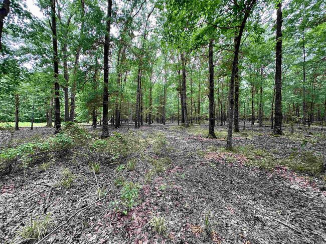 000 Oak Dale Rd, Home with 0 bedrooms, 0 bathrooms and null parking in Lonoke AR | Image 21