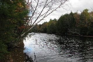 Residential in Bracebridge 3