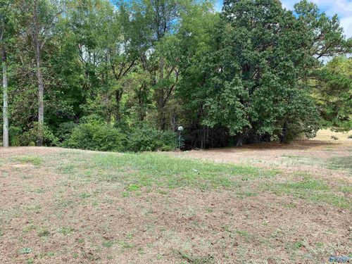 1 Acre Highway 67 S, Somerville, AL, 35670 | Card Image