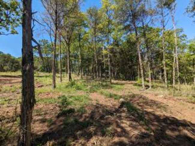 27B & 28B Shelby Lane, Home with 0 bedrooms, 0 bathrooms and null parking in Cecil AR | Image 39