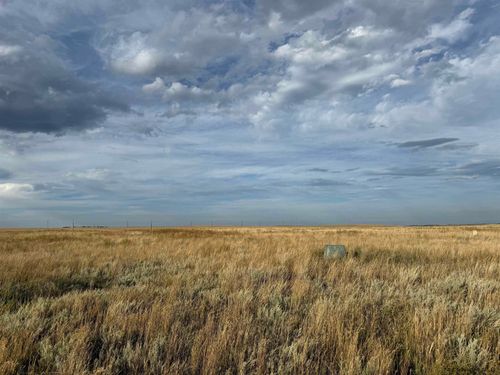 Tract 4 Road 203, Carpenter, WY, 82054 | Card Image