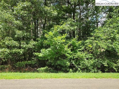 TBD Holly Run, Glade Valley, NC, 28627 | Card Image