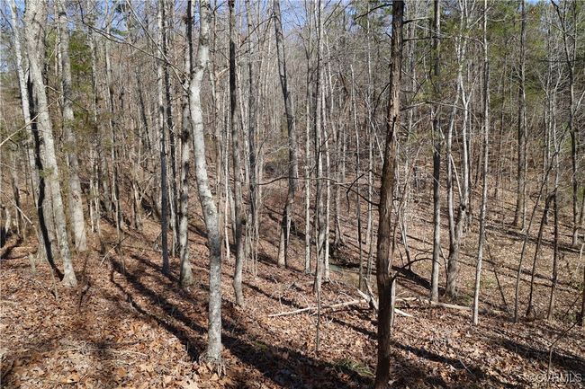 0 Golf Course Rd, Home with 0 bedrooms, 0 bathrooms and null parking in Halifax VA | Image 17