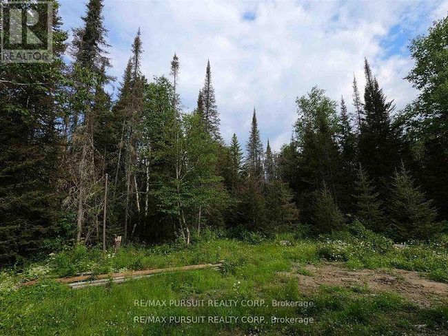PCL 6 Island A1, House other with 4 bedrooms, 0 bathrooms and null parking in Timiskaming Remote Area ON | Image 26