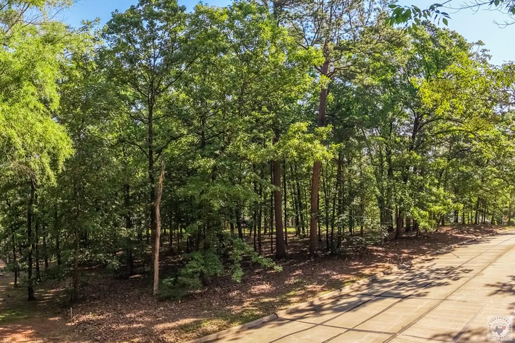 Land in Texarkana 5