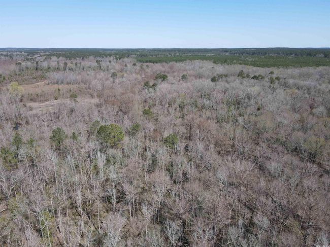 00 Highway 278 Highway, Home with 0 bedrooms, 0 bathrooms and null parking in Rosston AR | Image 19