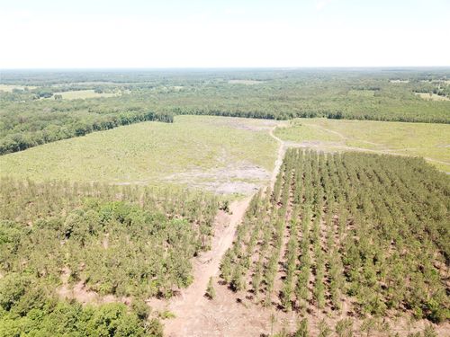 Off Cr 4290, Simms, TX, 75574 | Card Image