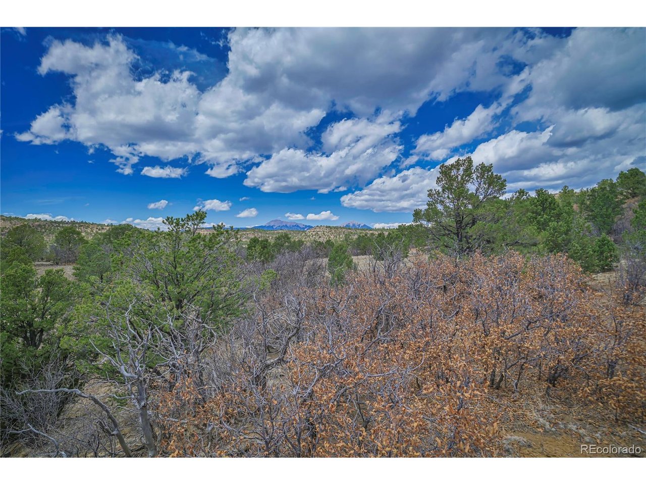 Land in Weston 2