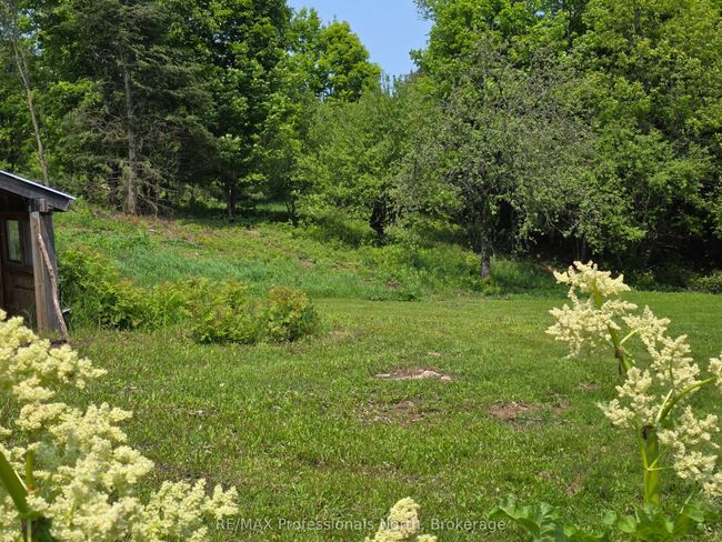 1537 Tulip Rd, House other with 2 bedrooms, 1 bathrooms and 4 parking in Algonquin Highlands ON | Image 37