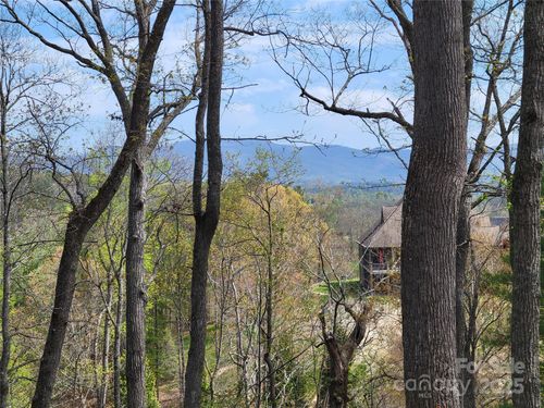 65 Bradford Vistas, Fletcher, NC, 28732-8544 | Card Image