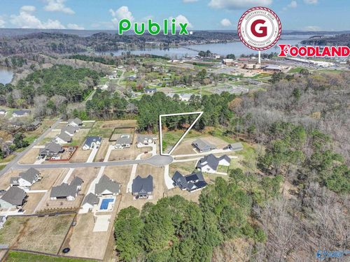 183 Spring Creek Cv, Guntersville, AL, 35976-2870 | Card Image