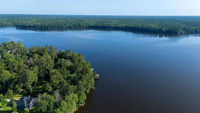1007 Williams Landing Rd, House other with 3 bedrooms, 3 bathrooms and null parking in TALLAHASSEE FL | Image 62