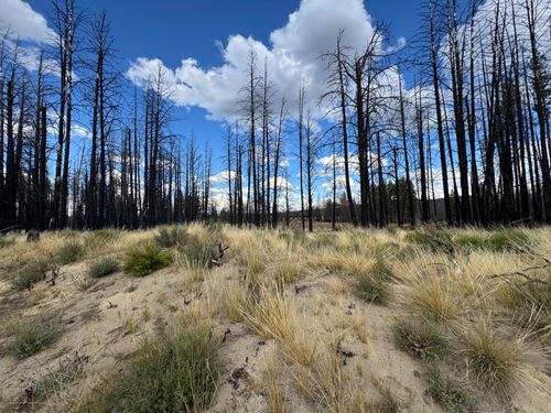 9-0 Beatty Dr, Beatty, OR, 97621 | Card Image