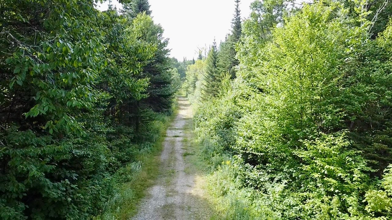 Land in Saint-Paul-de-Montminy 4