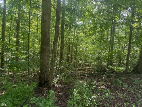 00 Mockingbird Ln, Nashville, IN, 47448 | Card Image